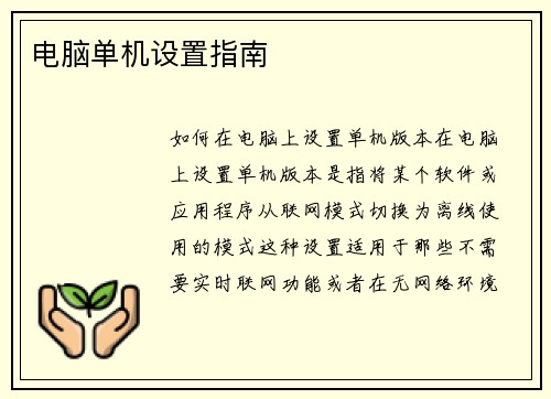 电脑单机设置指南