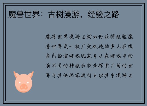 魔兽世界：古树漫游，经验之路